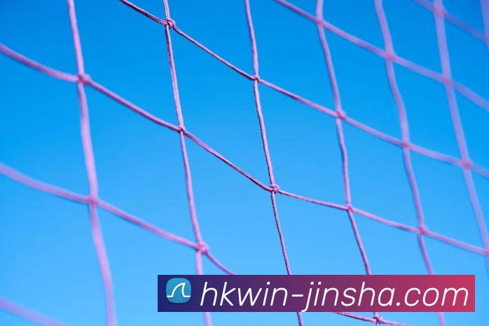 澳门金沙官网品牌故事